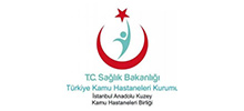 İstanbul Anadolu Kuzey Kamu Hizmetleri Birliği